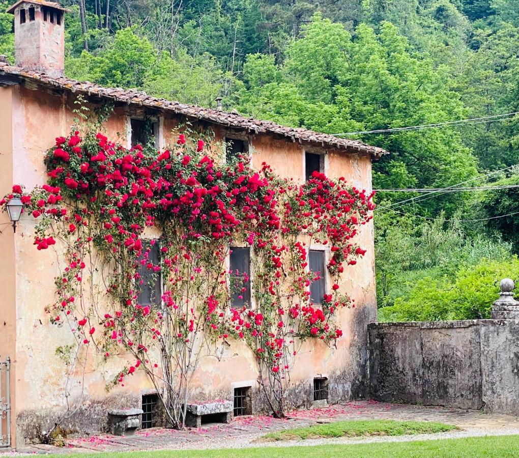 Villa Sardi Small Luxury Boutique Hotel Lucca Buitenkant foto